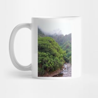 Iao Valley State Park Study 3 Mug